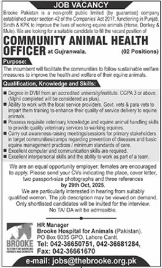 Brooke Pakistan Jobs in Lahore