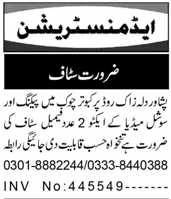 Social Media Executive Packing Worker Jobs in Peshawar