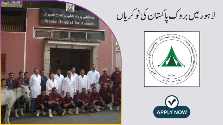 Brooke Pakistan Jobs in Lahore