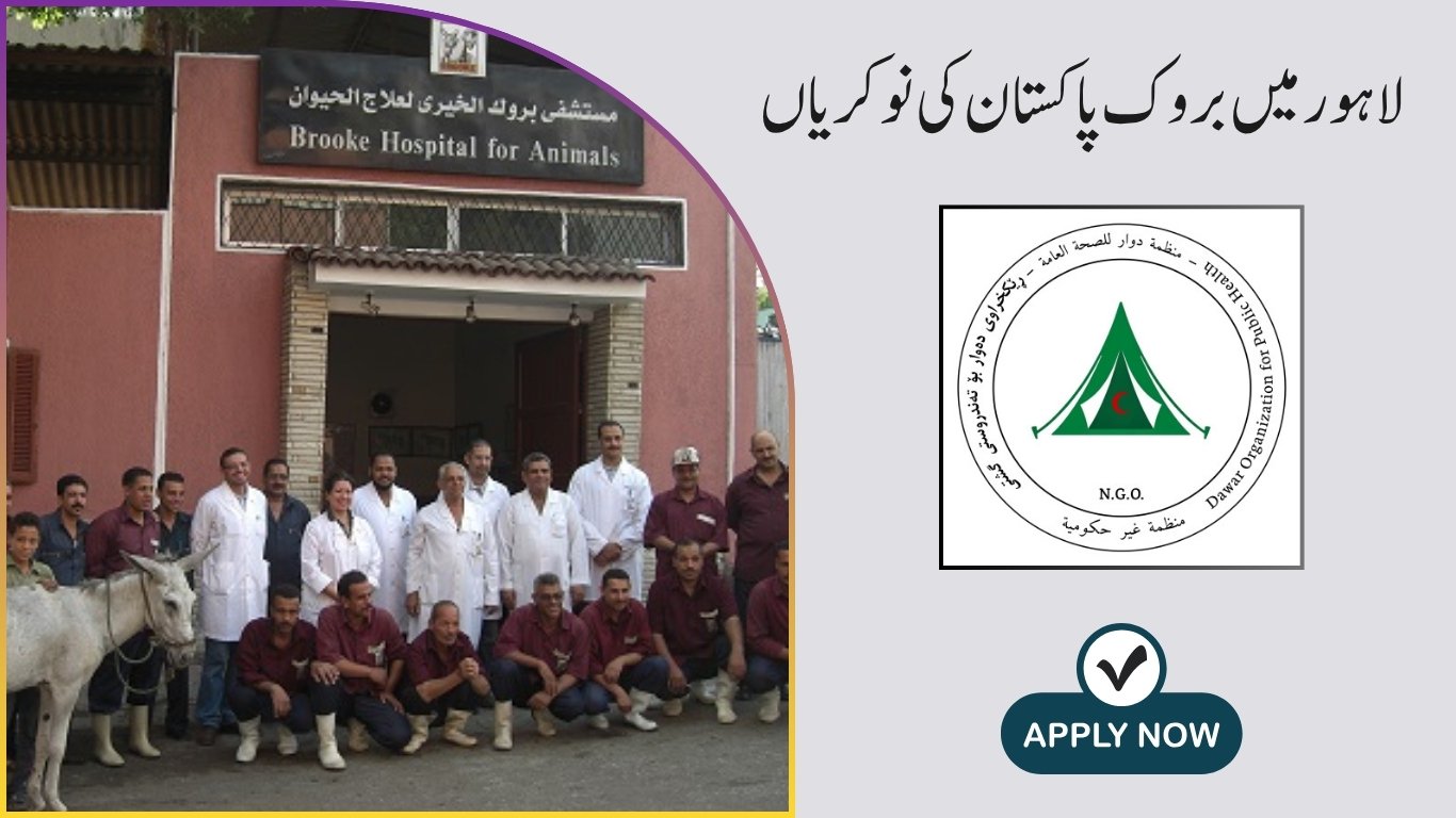 Brooke Pakistan Jobs in Lahore