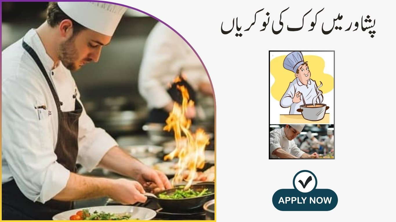 Cook Jobs in Peshawar