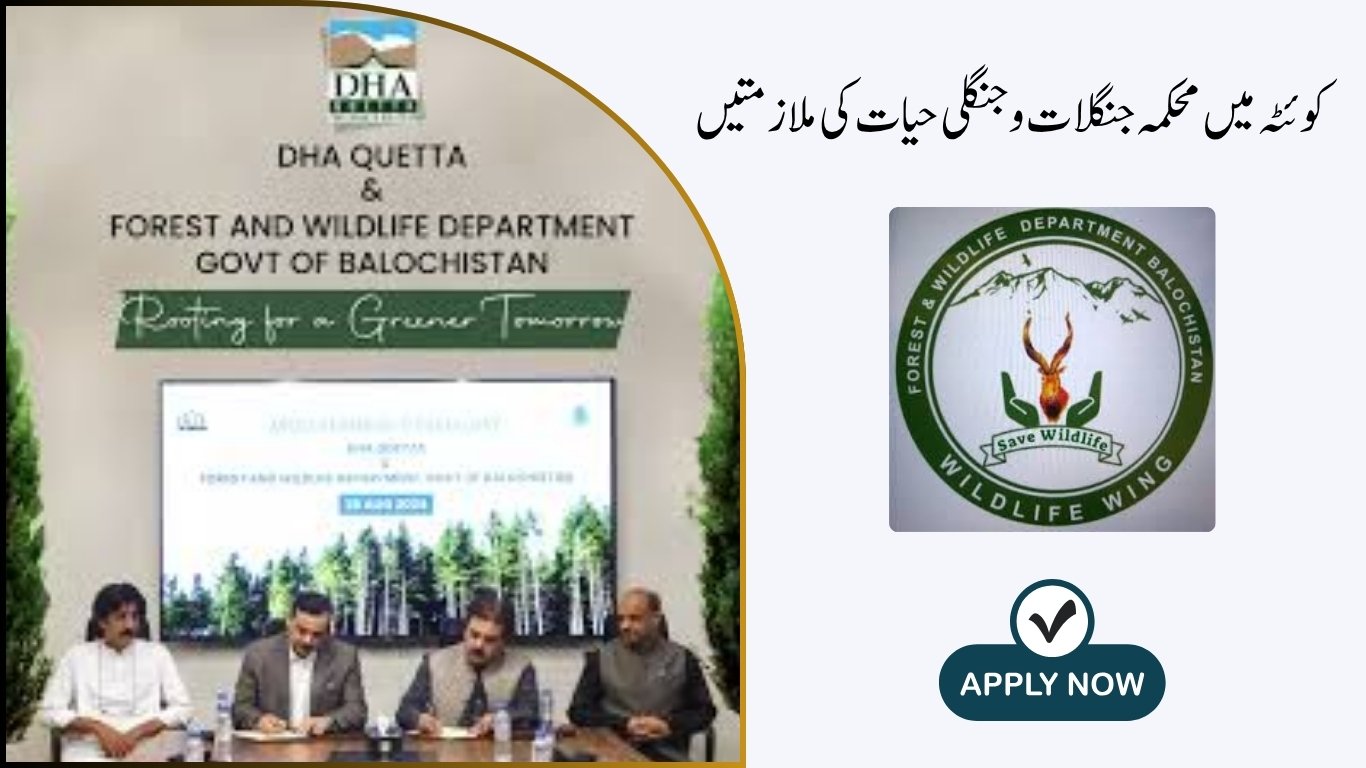 Forest & Wildlife Department Jobs in Quetta