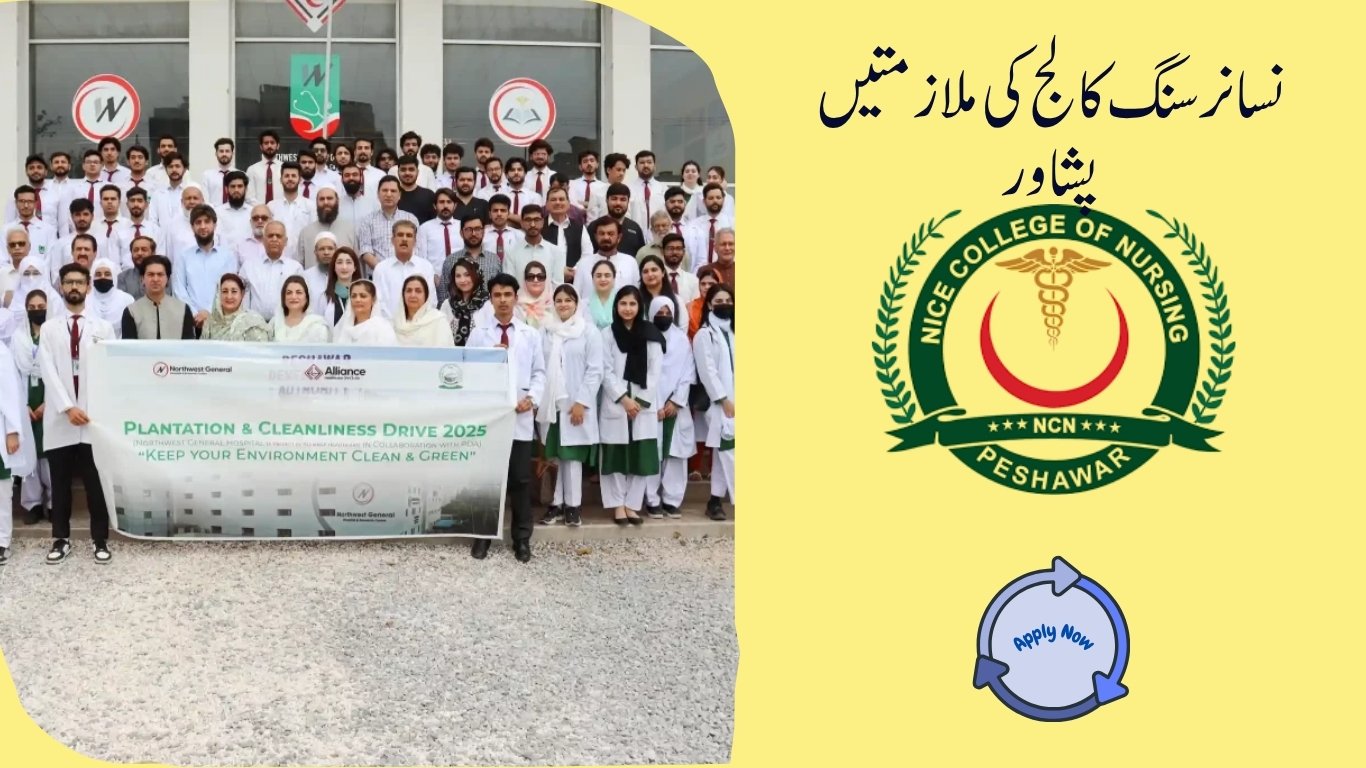 Nissa Nursing College Jobs in Peshawar