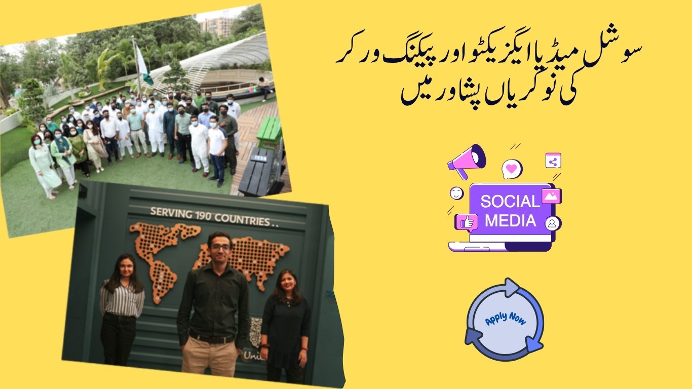 Social Media Executive Packing Worker Jobs in Peshawar