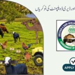 Livestock And Dairy Development Jobs in Lahore
