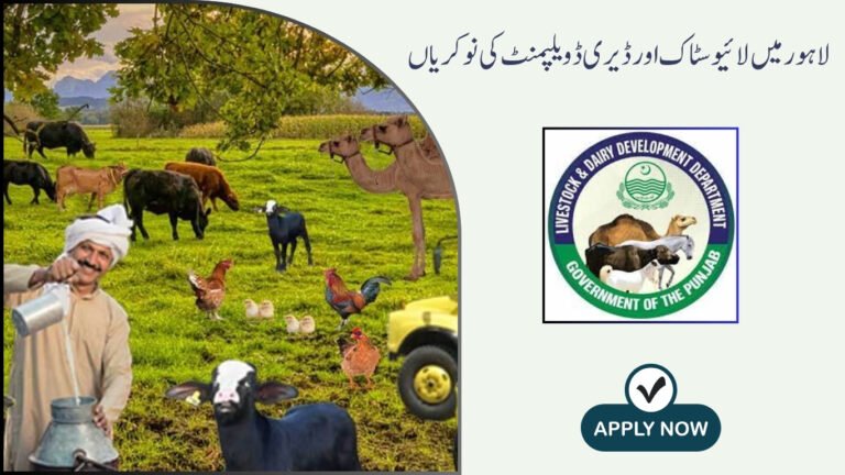 Livestock And Dairy Development Jobs in Lahore
